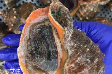 海螺開水還是冷水下鍋？海螺冷水還是熱水煮？