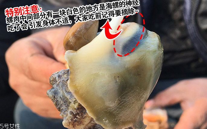 海螺會(huì)中毒嗎？吃海螺中毒多久會(huì)緩解？