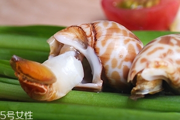 海螺能和西瓜一起吃嗎？海螺和西瓜能同食嗎？
