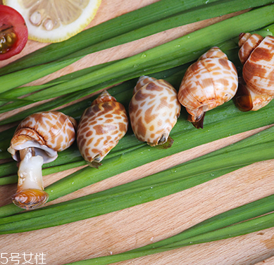 海螺能和西瓜一起吃嗎？海螺和西瓜能同食嗎？