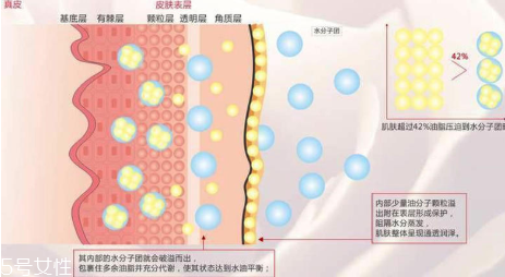 頑固痘痘怎么消除？油皮為什么反復爆痘？