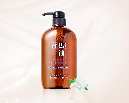 馬油洗發(fā)水是哪里產(chǎn)的？馬油洗發(fā)水是哪國的？