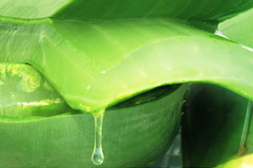 蘆薈水哪個(gè)牌子好？蘆薈爽膚水品牌推薦