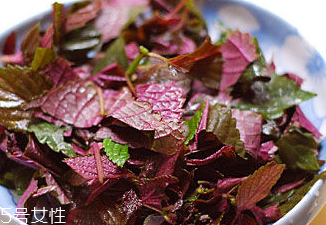 紫蘇葉能治皮膚過敏嗎？