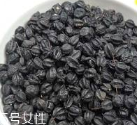 刺五加怎么吃？刺五加有什么用？