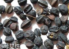 刺五加怎么吃？刺五加有什么用？