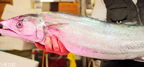 鲅魚(yú)怎么做好吃 鲅魚(yú)的多種常見(jiàn)做法