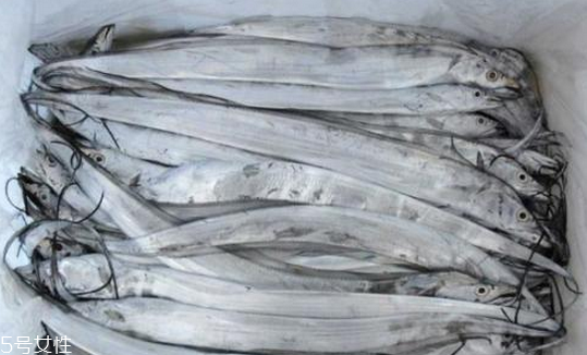帶魚(yú)會(huì)胖嗎 屬于脂肪高的魚(yú)類