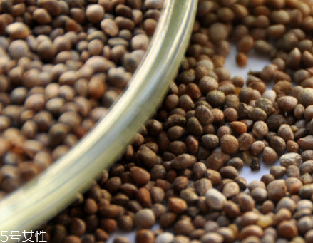 紫蘇子的主要價值 增強(qiáng)學(xué)習(xí)記憶能力