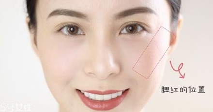 珠光腮紅適合什么膚質 放大油皮的粗毛孔
