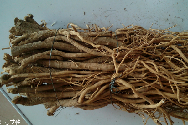 黃芪為什么會生蟲 這個是正?，F(xiàn)象