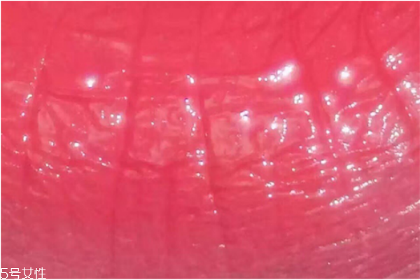 紀(jì)梵希口紅301是什么顏色 紀(jì)梵?？诩t301試色