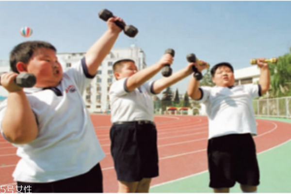 應(yīng)該注意小孩脂肪和膽固醇的攝取量嗎？