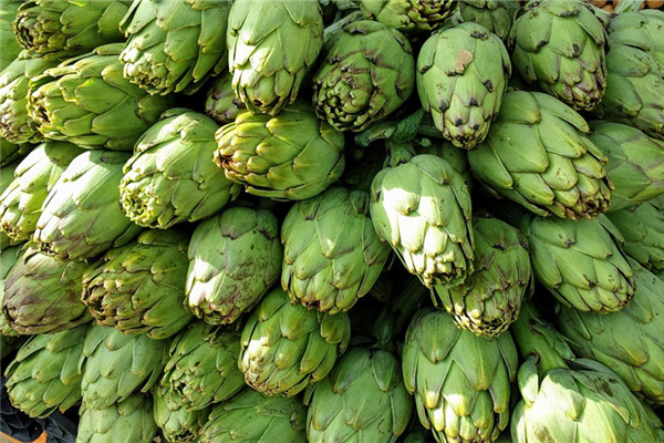 朝鮮薊怎么吃 朝鮮薊的吃法圖解 朝鮮薊怎么吃 朝鮮薊的吃法圖解