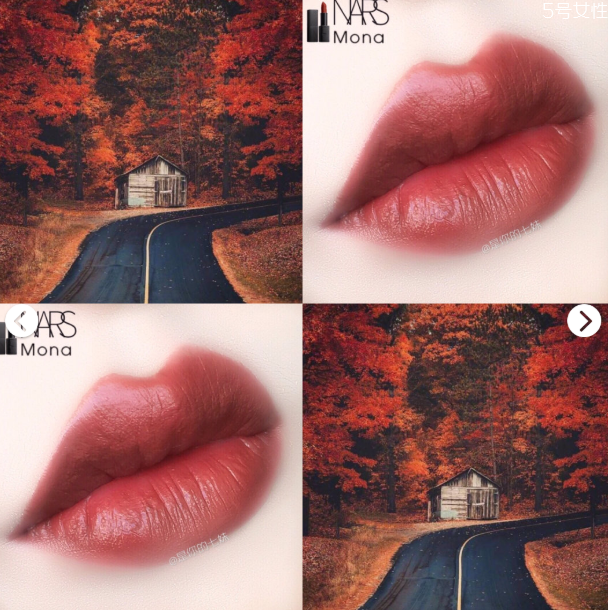 nars mona專柜賣(mài)多少 nars mona試色