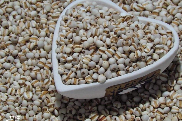 薏米是什么氣味 薏米過(guò)期是什么氣味