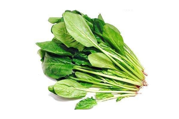 菠菜會過敏嗎 有這個(gè)可能