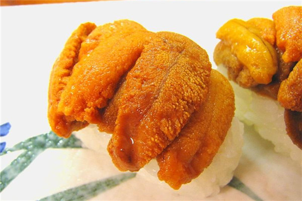 臺(tái)灣和日本常見(jiàn)食用海膽種類