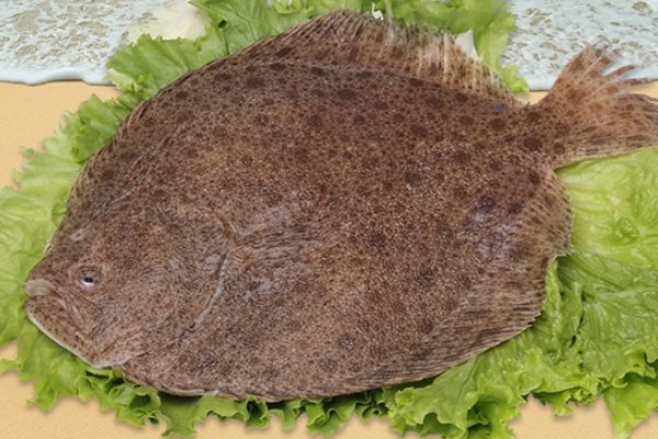 多寶魚怎么處理 按照這個(gè)方法準(zhǔn)沒(méi)錯(cuò)