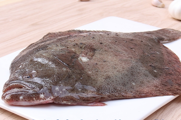 多寶魚(yú)白色的正常嗎 本來(lái)就有一面是白色