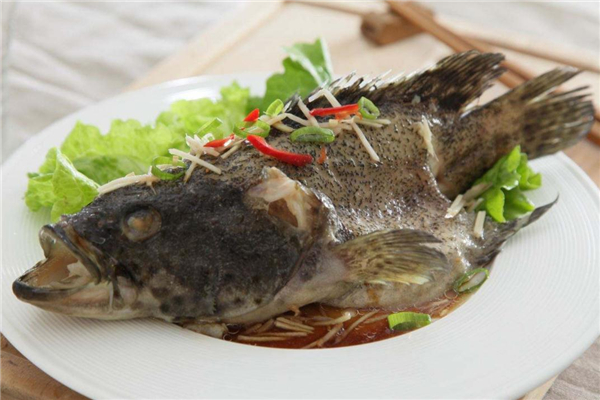 石斑魚(yú)怎么做好吃 石斑魚(yú)的做法