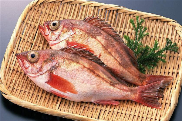 坐月子可以吃加吉魚(yú)嗎 有益產(chǎn)婦傷口愈合