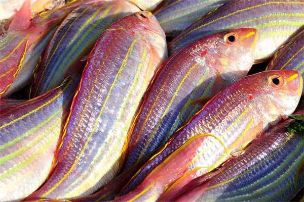 紅杉魚(yú)的做法 紅杉魚(yú)怎么做好吃
