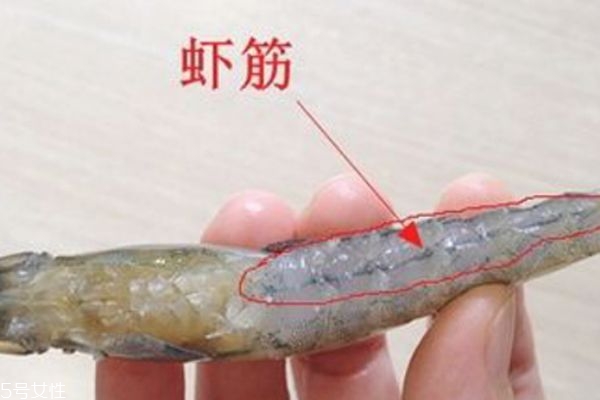 基圍蝦有幾條蝦線(xiàn) 蝦有兩條蝦線(xiàn)嗎