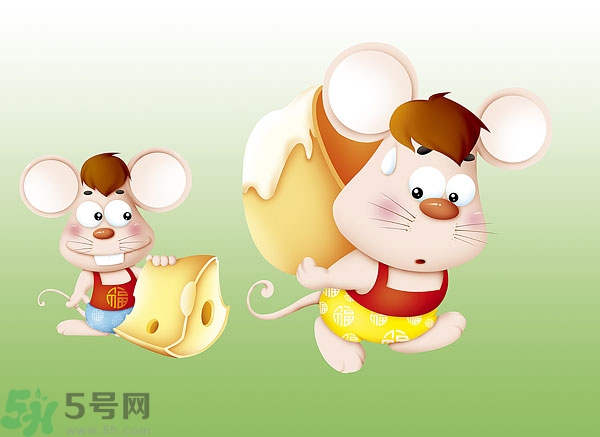 吃奶酪會(huì)過敏嗎？芝士是發(fā)物嗎？