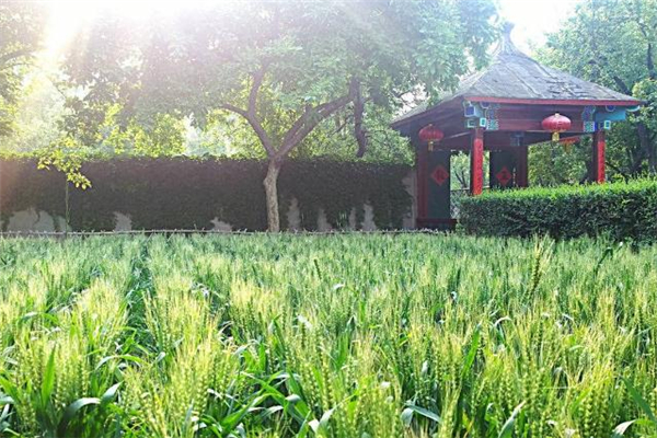 小滿有什么民俗活動 小滿節(jié)氣的民俗