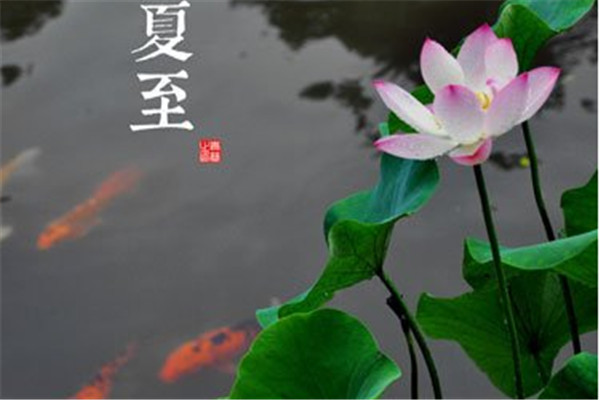 夏至應(yīng)該吃什么 夏至節(jié)氣吃什么對(duì)身體好