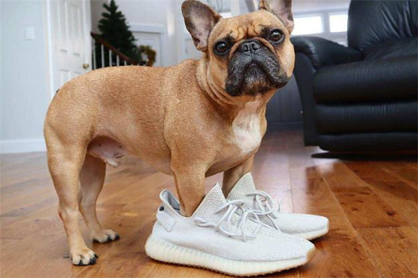 抽到y(tǒng)eezy什么時候去排隊(duì) 抽中yeezy可以不領(lǐng)嗎