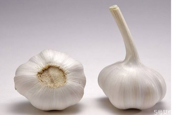 大蒜發(fā)芽了還可以吃嗎 為什么大蒜吃起來(lái)好辣