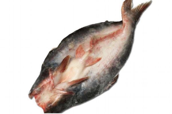 什么是龍利魚(yú)呢 龍利魚(yú)有什么營(yíng)養(yǎng)價(jià)值呢