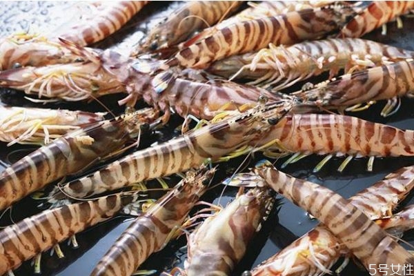 吃竹節(jié)蝦會(huì)長胖嗎 減肥可以吃竹節(jié)蝦嗎