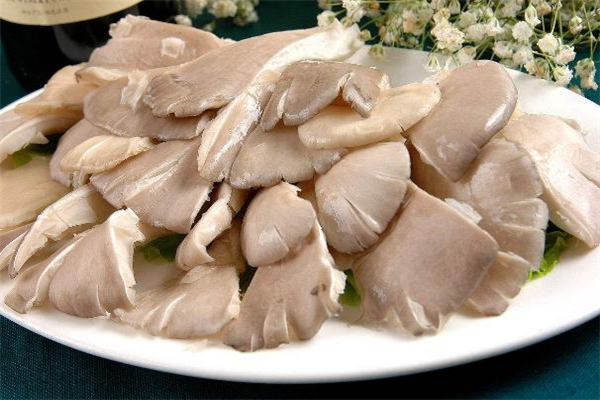 平菇為什么會(huì)長白毛 平菇為什么發(fā)黃
