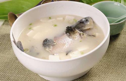 鯽魚豆腐湯能補(bǔ)鈣嗎 鯽魚牛奶湯怎么做好吃