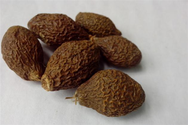 胖大?？梢灾温匝恃讍?胖大?？梢灾慰人詥?></p><h3>胖大海的功效與作用</h3><p>第一、改善咽部疾病</p><p>很多人出現(xiàn)咽喉腫痛是因為在咽喉部位有熱毒或者肺熱等等問題導(dǎo)致，在治療的時候要以清利咽喉和去熱毒為主，而胖大海本身屬于寒涼性的藥物，它可以幫助達到泄肺熱和清熱解毒效果，如果能夠搭配上其他的同類中藥服用，效果還會更理性一些，不僅如此，它還能夠幫助改善聲音嘶啞甚至是失音問題呢。</p><p>第二、改善肺熱、肺燥和咳嗽問題</p><p>如果風(fēng)熱侵蝕到人的肺部就會導(dǎo)致咳嗽等等問題出現(xiàn)，而且，這樣的情況下要么沒有痰，要么痰的顏色是非常黃而且很濃的，這個時候選擇服用胖大海的話則能夠幫助改善這種咳嗽癥狀，但是，直接用它泡水改善效果并不明顯，最好是搭配上魚腥草、蘆葦根或者是黃芩等等一起來服用。</p><p>第三、改善大便干燥問題</p><p>胖大海本身是寒涼性的藥物，在清腸通便方面有比較明顯的效果，所以，在臨床上可以用于改善因為大腸熱積導(dǎo)致的便秘或者排便不通暢問題，不過，它僅僅適合癥狀比較輕的情況，如果問題嚴重則需要搭配其他的藥物才行。</p> </div>
<div align=