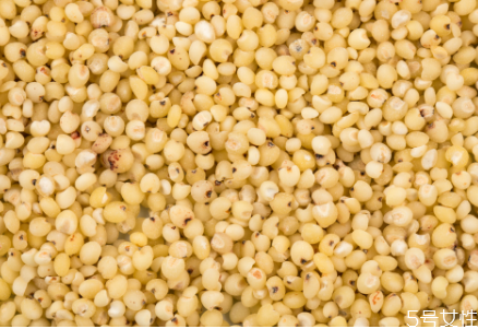 高粱米和大米哪個熱量高 高粱米食用注意事項(xiàng)
