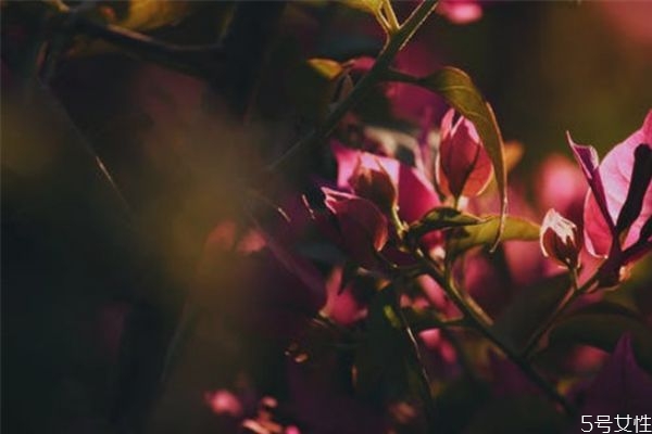男人沖你發(fā)火代表什么 一個(gè)男人明確說(shuō)不愛(ài)你