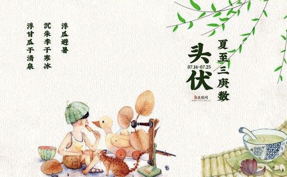 三伏天是什么？三伏天應(yīng)注意什么？