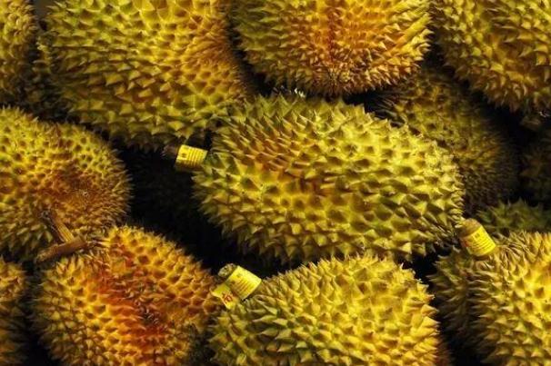 榴蓮要裂開(kāi)才熟嗎 榴蓮要開(kāi)口了才能吃嗎