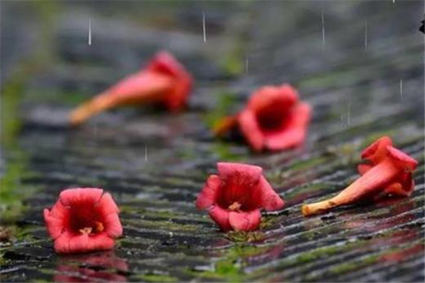 梅雨季節(jié)什么時(shí)候開(kāi)窗通風(fēng)最好 梅雨季節(jié)開(kāi)窗通風(fēng)好不好