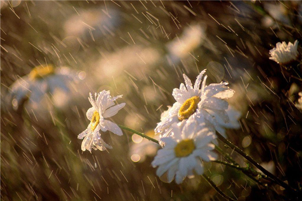 梅雨季節(jié)什么時(shí)候開(kāi)窗通風(fēng)最好 梅雨季節(jié)開(kāi)窗通風(fēng)好不好