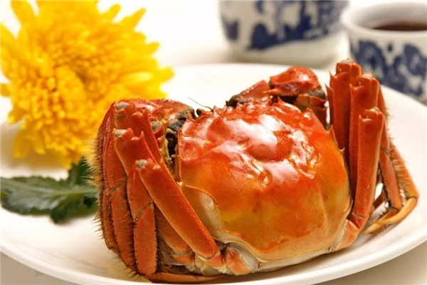 陽(yáng)澄湖大閘蟹在哪里買(mǎi)最正宗 陽(yáng)澄湖大閘蟹怎么做好吃