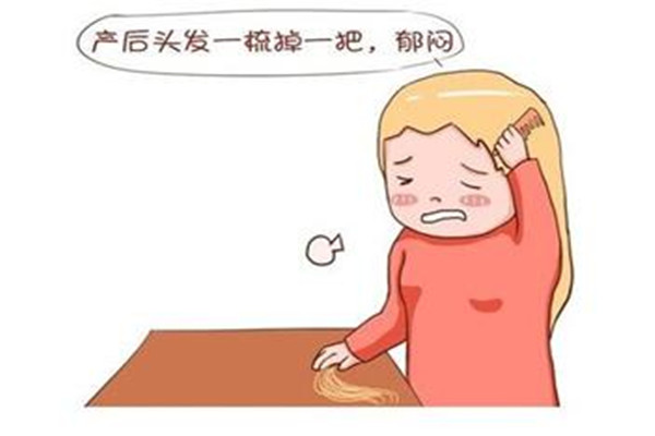 產后脫發(fā)怎么預防 產后脫發(fā)怎么調理