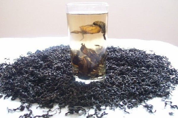 杜仲茶可以降血壓?jiǎn)?杜仲茶可以降血脂嗎