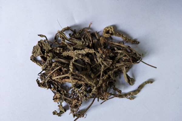 車(chē)前草煮水洗臉能祛斑嗎 車(chē)前草煮水洗臉有什么功效
