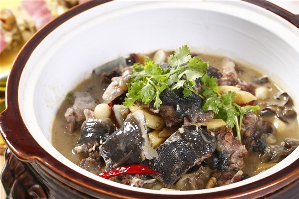 甲魚(yú)腥味很大是嗎 甲魚(yú)腥味怎么去除