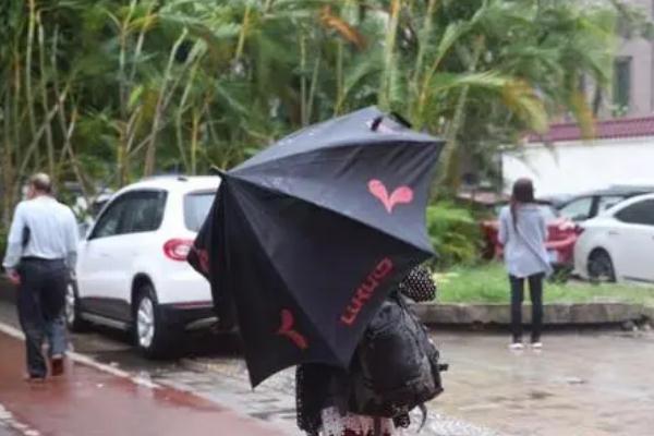 臺風(fēng)會(huì)下雨嗎 臺風(fēng)會(huì)帶來什么天氣